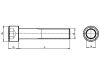Cheese head screw with hexagon socket - SCR-CYL-ISO4762-12.9-IH10-M12X120