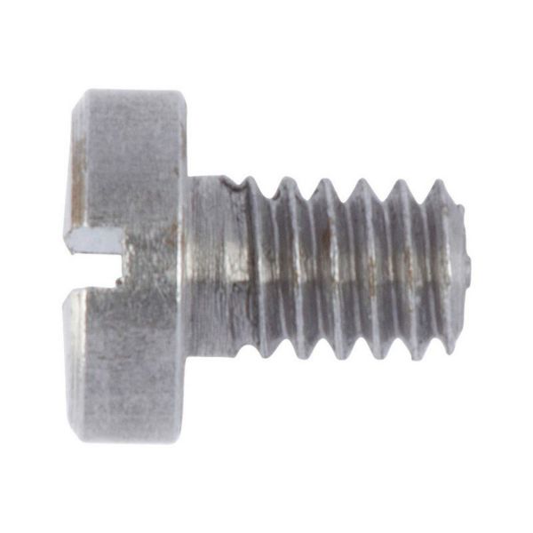 Picture for category Screw, cylinder head with slot