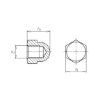 Hexagonal cap nut, high profile - NUT-CAP-HEX-DIN1587-A2-WS10-M6