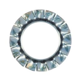 Serrated lock washer, externally serrated, shape A - WSH-SER-DIN6798-AZ-(A2K)-D5,3