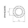Double serrated lock washer - WSH-SER-DB-SIDIN6798-(A2K)-D8,2