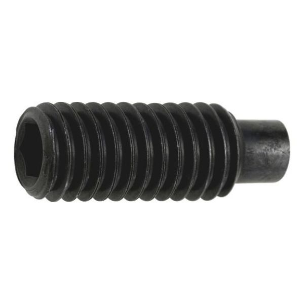 Picture for category ISO 4028 steel 45H, plain