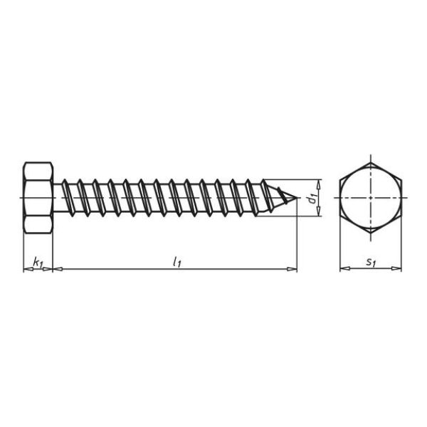 Picture for category DIN 7976 stainless steel A2 plain type C with tip