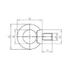 Ring bolt - BLT-RG-DIN580-C15E-(A2K)-FORGED-M12