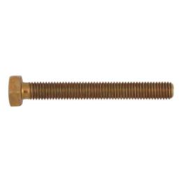 Hexagonal bolt with threading up to head - SCR-HEX-ISO4017-8.8-WS10-(A2C)-M6X20