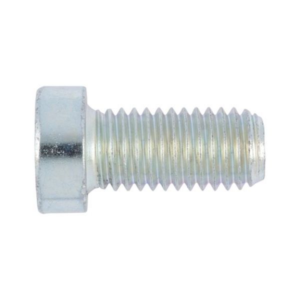 Picture for category DIN 7984 galvanised steel 08.8