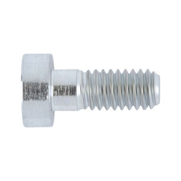 Picture for category DIN 6912 galvanised steel 08.8