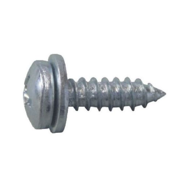 Picture for category Number plate screw type S
