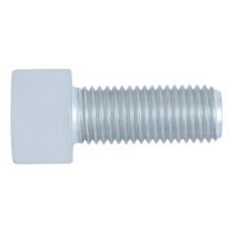 Hexagon Socket Head Cap Screw with metric fine pitch thread - SCR-ISO12474-10.9-IH8-(A2K)-M10X1,25X35