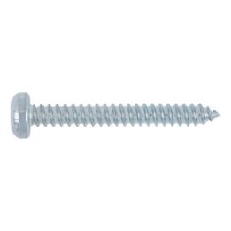 Raised countersunk tapping screw, shape C with AW drive - SCR-PANHD-WN111-C-AW20-(A2K)-4,2X13