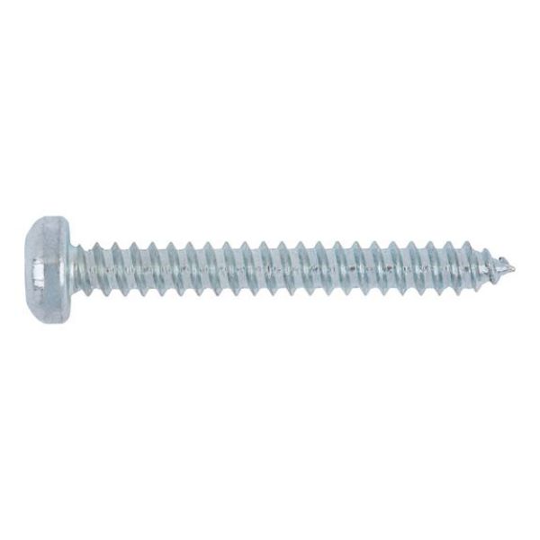 Picture for category WN 111 steel galvanised pan head AW