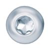 Raised countersunk tapping screw, shape C with AW drive - SCR-PANHD-WN111-C-AW20-(A2K)-4,2X13