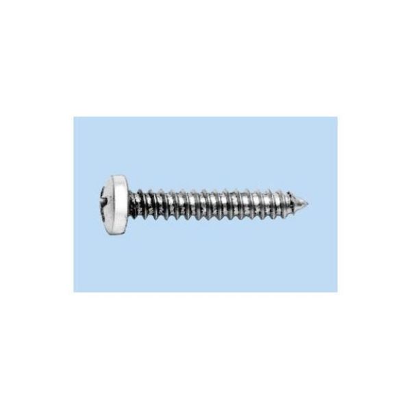 Picture for category DIN 7981 nk pl st, H pan head, shape C