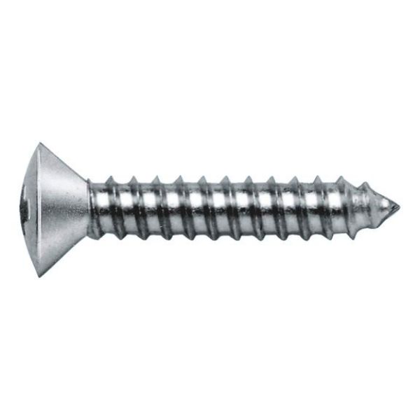 Picture for category DIN 7983, plain A2 stain. steel, H, shape C point.