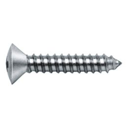 Pan head tapping screw, C shape with H recessed head - SCR-RSDCS-DIN7983-C-H1-A2-2,9X16
