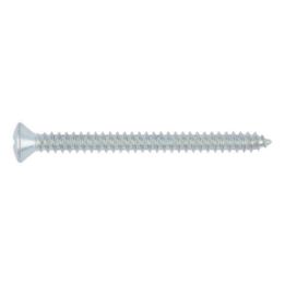 Pan head tapping screw, C shape with H recessed head - SCR-RSDCS-DIN7983-C-H2-(A2K)-3,9X19