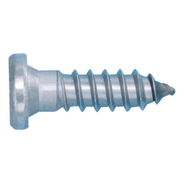 Picture for category Tapping screw, stainless steel A4, glide coated AW
