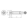 GEFU{95}&reg;{96} self-tapping screw with Taptite 2000{97}&reg;{98} thread, flat head and hexalobular socket&lt;SUP&gt;&lt;/SUP&gt;&lt;SUP&gt;&lt;/SUP&gt; - SCR-PANHD-DIN7500-PE-TX25-(A2K)-M5,0X12