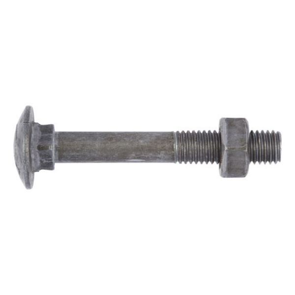 Picture for category DIN 603 plain steel 4.8 with nut