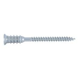 JAMO&lt;SUP&gt;&reg;&lt;/SUP&gt; spacing assembly screw wood-concrete Spacing assembly screw for wood/concrete - SCR-CS-WO/CONC-AW30-(A3K)-6X100