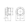 Hexagon head sealing plug, short screw-in pin - PLG-SEAL-DIN7604-A-(A2K)-M12X1,5