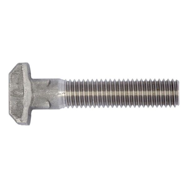 Picture for category T-head bolt
