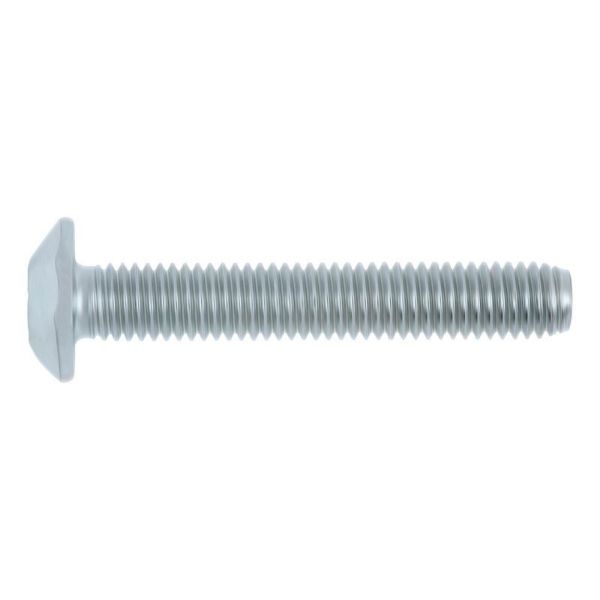 Picture for category Safety Screw, Button Head