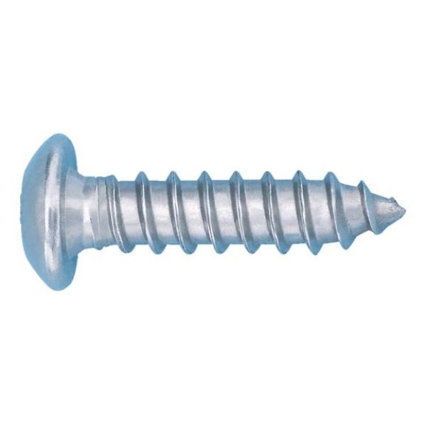 Picture for category DIN 7981 safety scr. A2 s/s, pn hd, TX