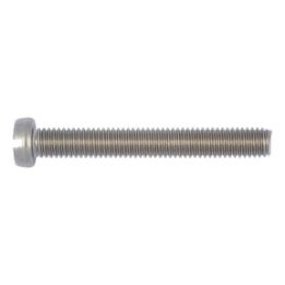 Slotted cheese head - SCR-CYL-DIN84-A2/70-SL-M6X100