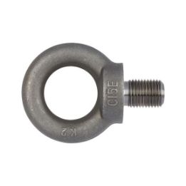 Ring screw - BLT-RG-DIN580-C15E-FORGED-M12