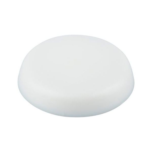 Picture for category Cover cap for coupling screw