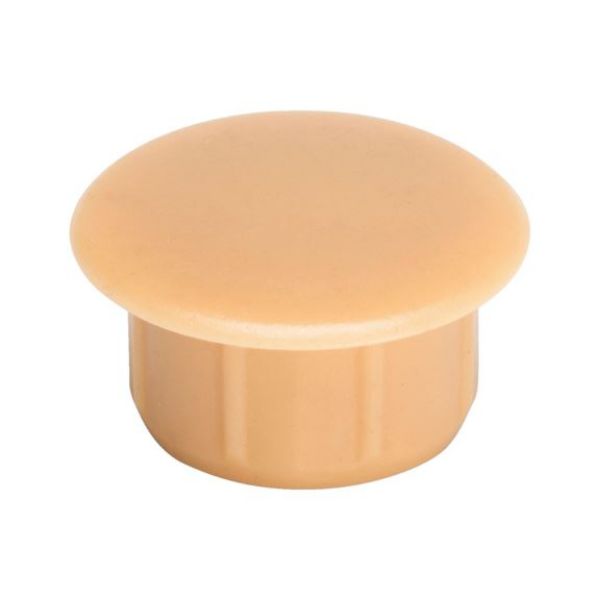 Cover cap - CAP-PE-(OAK-LIGHT)-D10/13XL5MM
