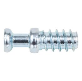 System bolt - AY-SYSBLT-SYSCON-SV20E-PZ2-ST-(ZN)