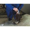 Sanding Fleece Ring - ABRRG-FLC-(F.EPM200-E)-G100-D200MM