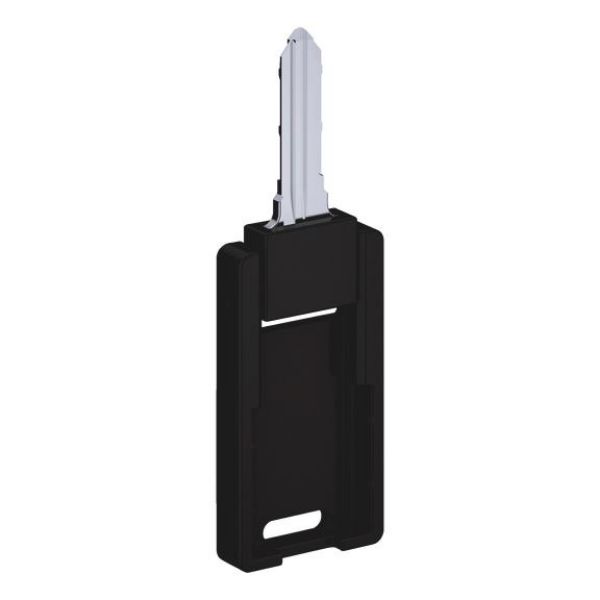 Picture for category Inlay course main key