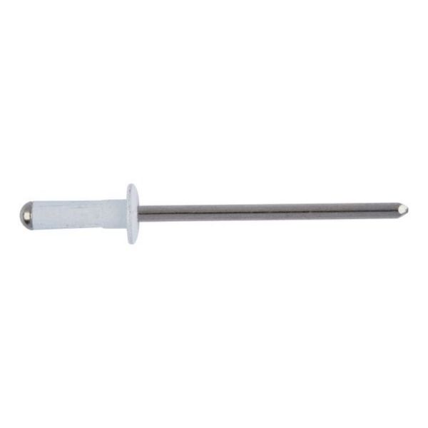 Picture for category Alu. blind rivet w. rnd pan head white/A2