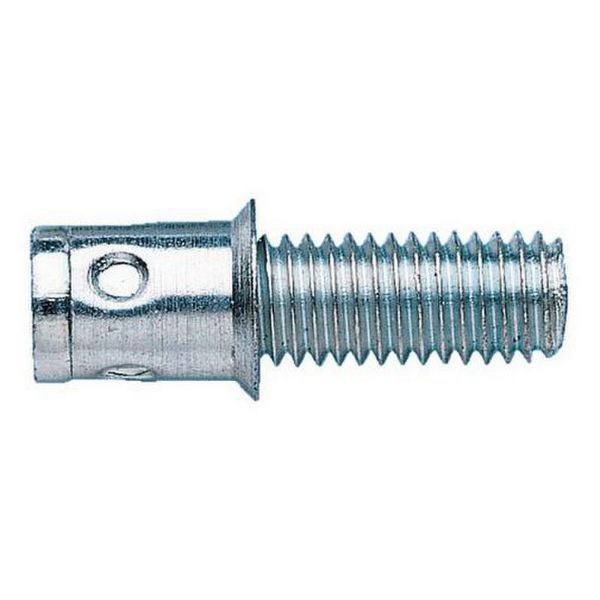 Picture for category Rivet bolt, countersunk head