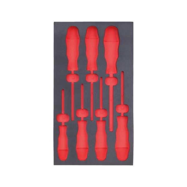 Picture for category Empty foam insert, screwdriver TX