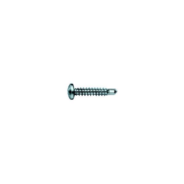 SELFDRILLING SCREW  WITH PANHEAD