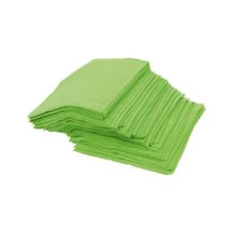 Microactive cloth Basic - MICROCLTH-BASIC-GREEN-40X40CM
