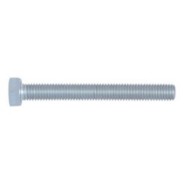 Hexagonal bolt with thread up to the head - SCR-HEX-DIN933-8.8-WS17-(A2K)-M10X100