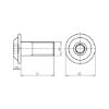 Screw with flattened half round head with collar and hexagon socket - SCR-FLG-ISO7380/2-A2/070-IH2,5-M4X16