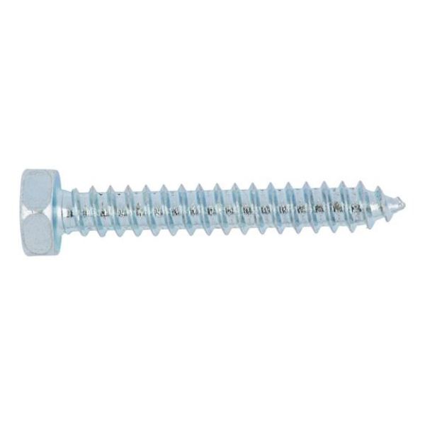 Picture for category DIN 7976 steel galvanised shape C with tip