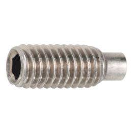 Hexagon socket set screw with pin - SCR-DOGPT-ISO4028-A2-21H-IH2,5-M5X20
