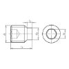 Hexagon socket set screw with pin - SCR-DOGPT-ISO4028-A2-21H-IH2,5-M5X20