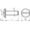 Slotted round head screw - SCR-MHD-4.8-SL-(A2K)-M8X15