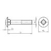 Round head screw with square neck - SCR-MHD-DIN603-A2-M5X20