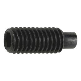 Hexagon socket set screw with pin - SCR-DOGPT-ISO4028-45H-IH3-M6X40
