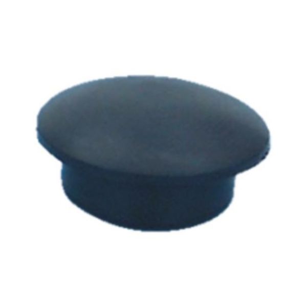 Body Sealing Plugs - BLKPLG-BDYWRK-DRILLD12MM
