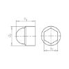 Cover cap for hexagonal bolts and nuts - CAP-PLA-(F.SCR-HEX)-WHITE-WS17-M10